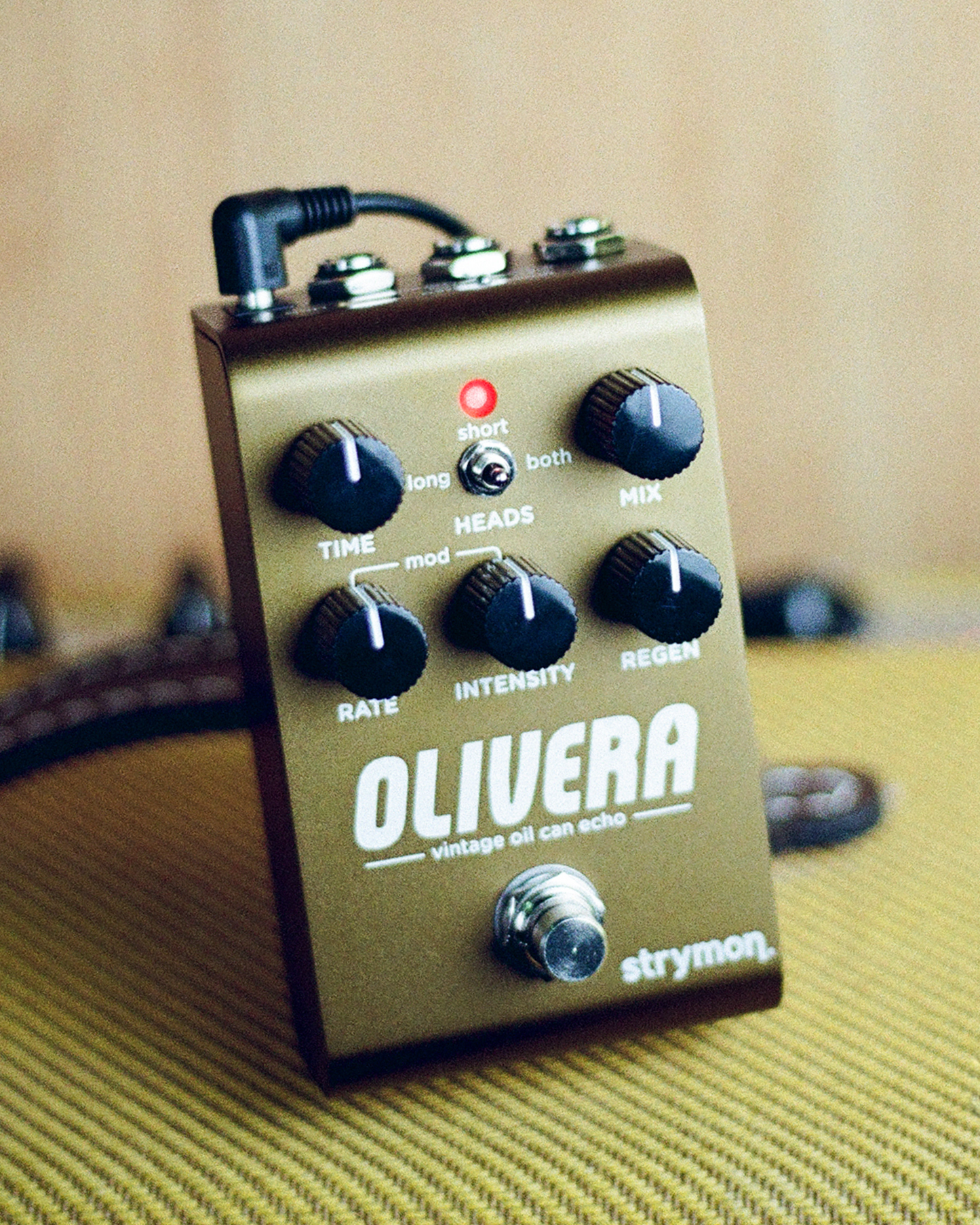Strymon Olivera Vintage Oil Can Echo
