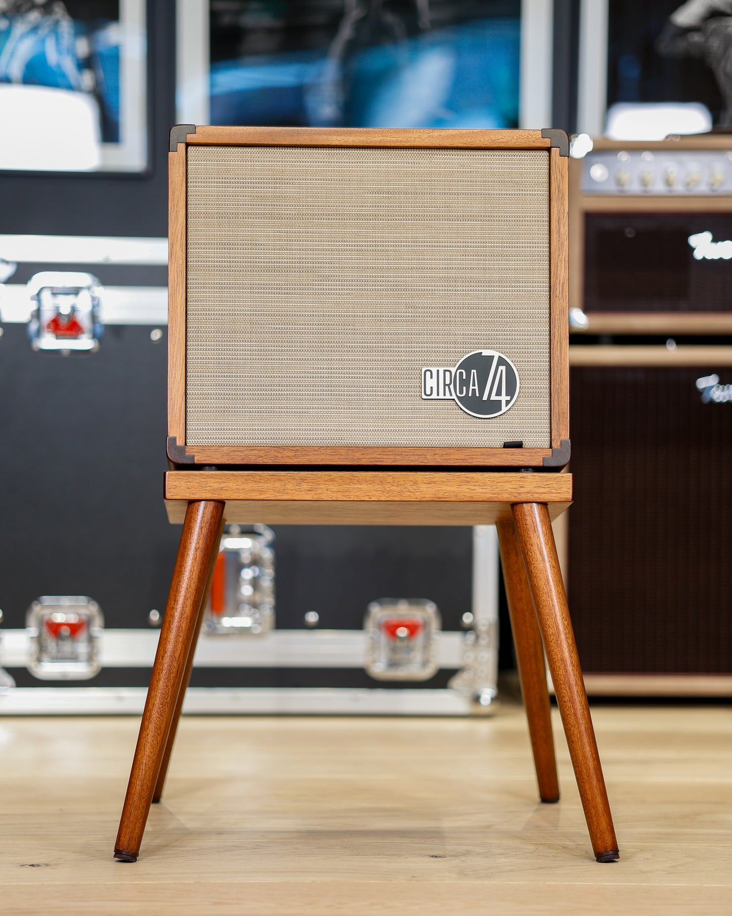 Taylor Circa 74 Acoustic Amplifier