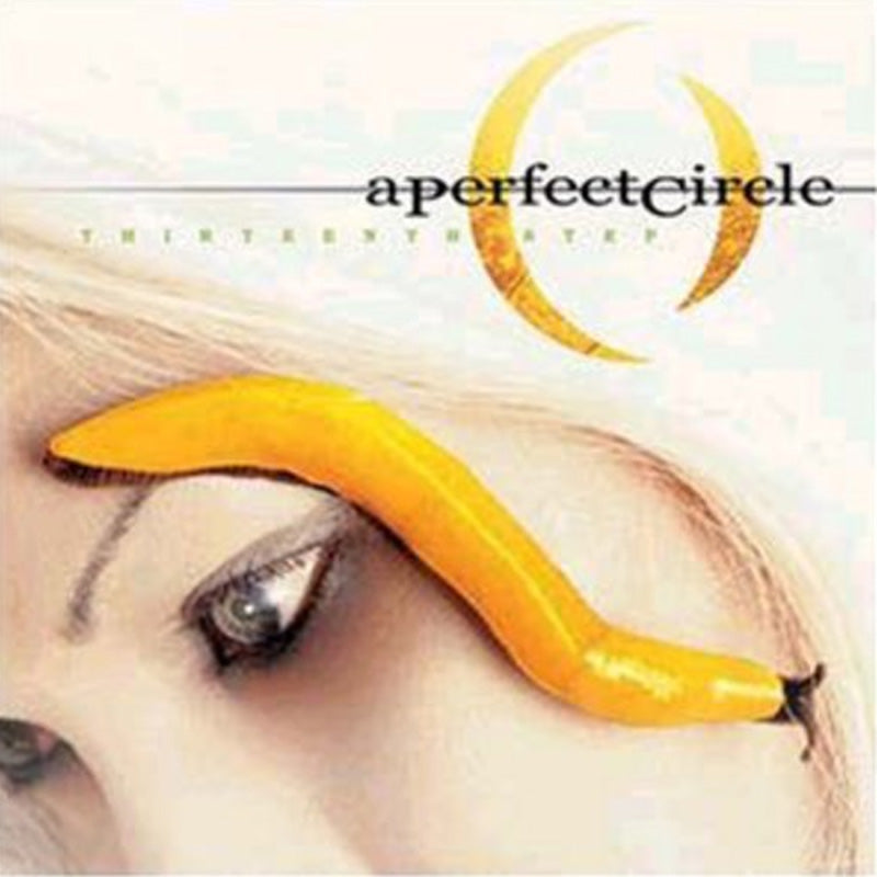 A PERFECT CIRCLE / THIRTEENTH STEP