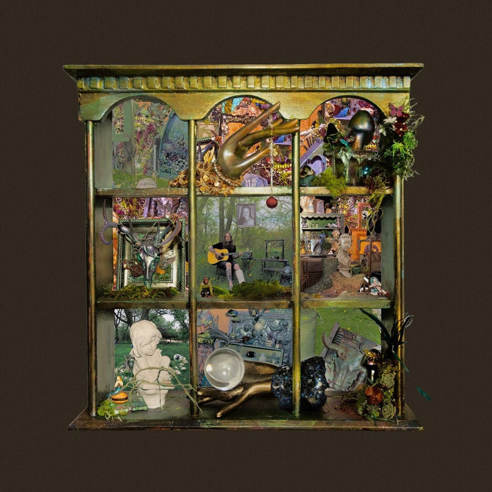 BILLY STRINGS / SO MUCH FOR GOODBYES