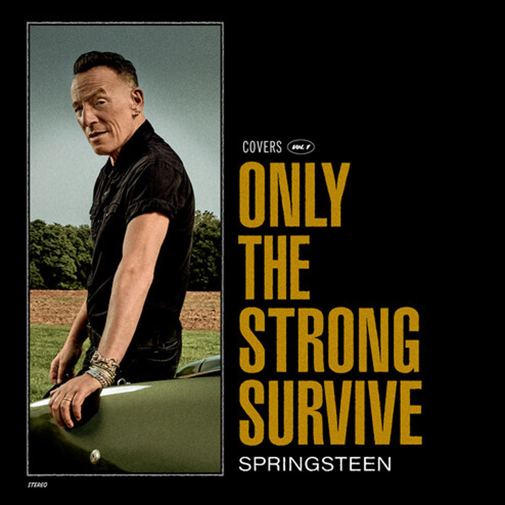 BRUCE SPRINGSTEEN / ONLY THE STRONG SURVIVE
