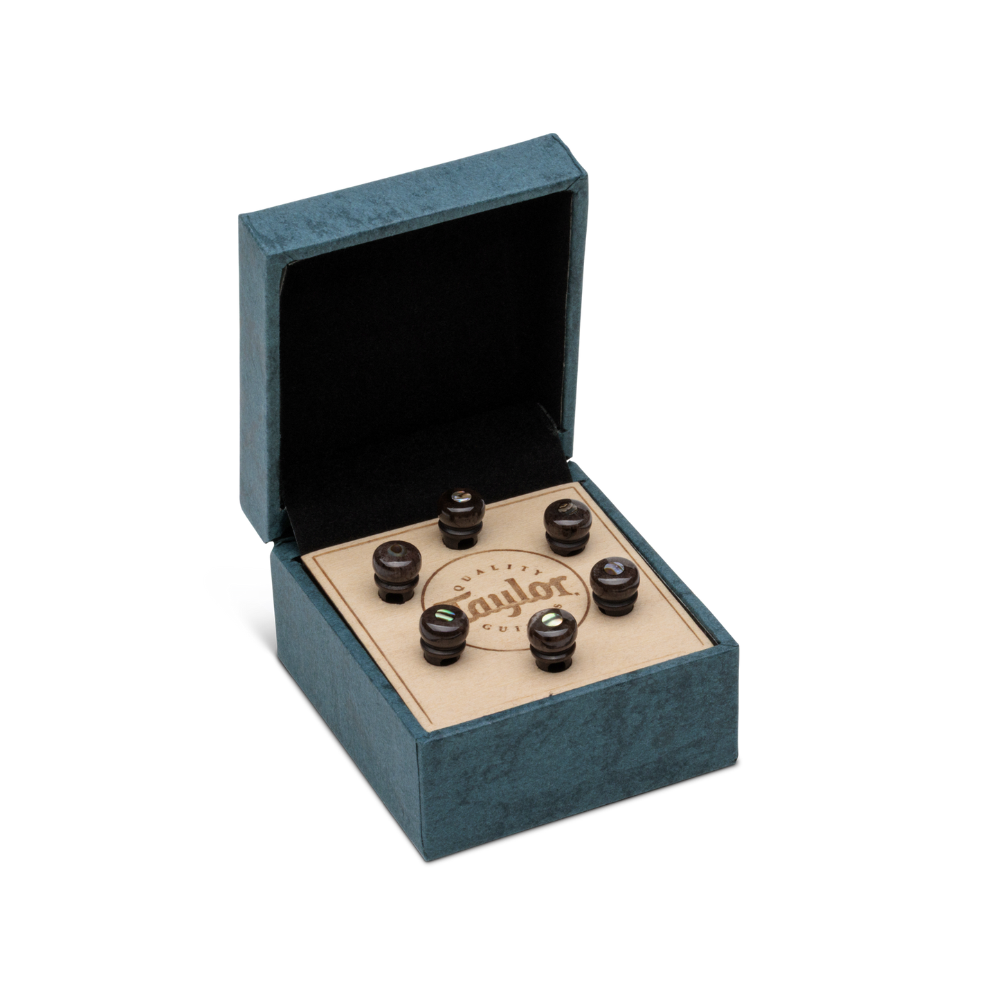 Taylor Custom Water Buffalo Bone Bridge Pins