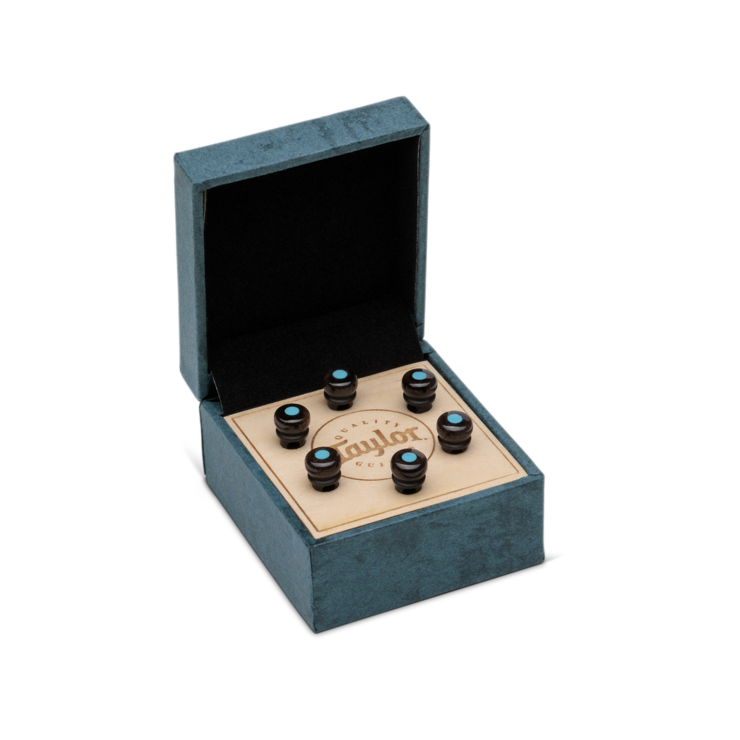 Taylor Custom Water Buffalo Bone Bridge Pins
