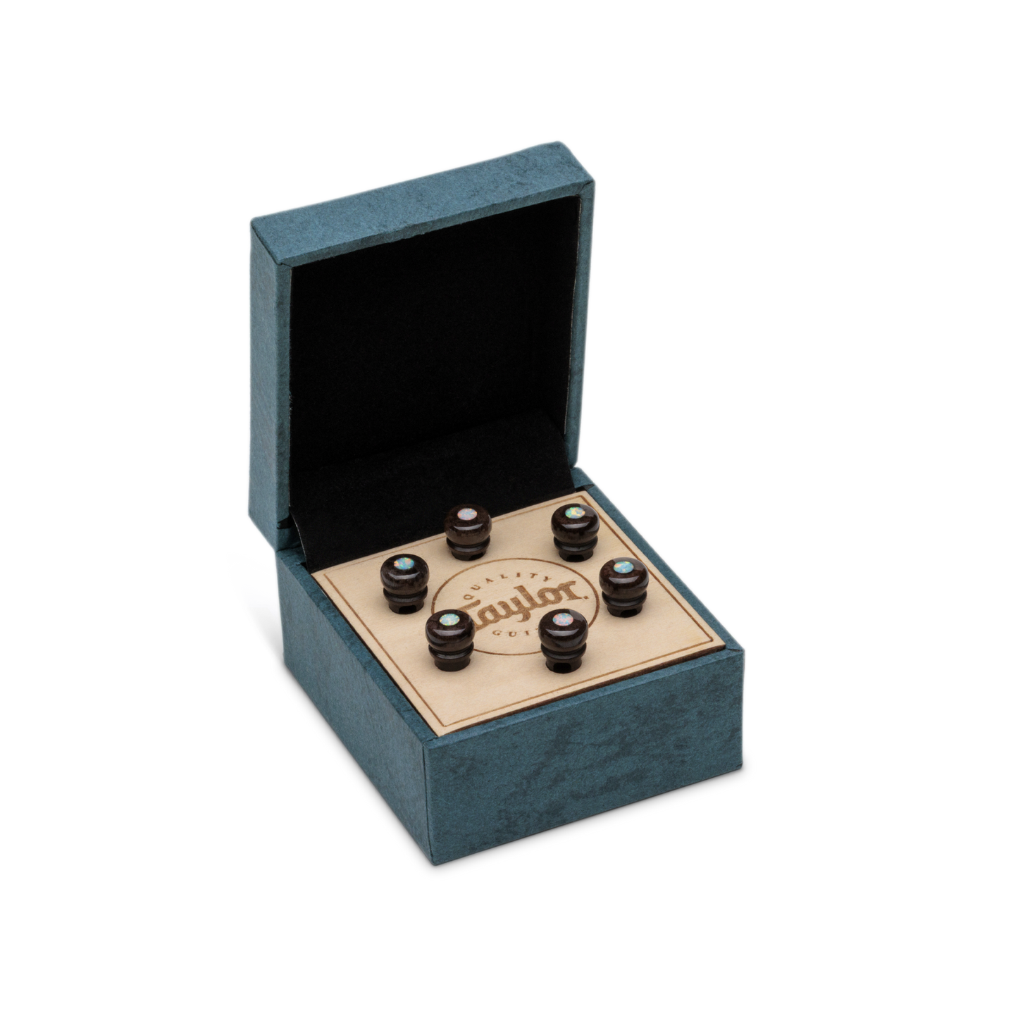 Taylor Custom Water Buffalo Bone Bridge Pins