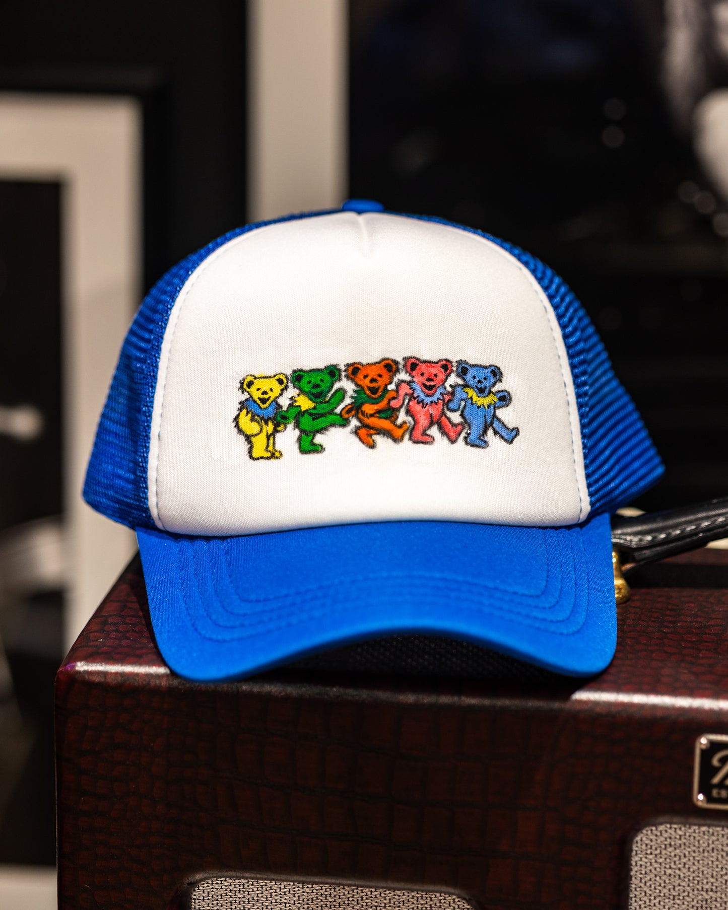 Grateful Dead Bears Hand-Painted Dad Hat