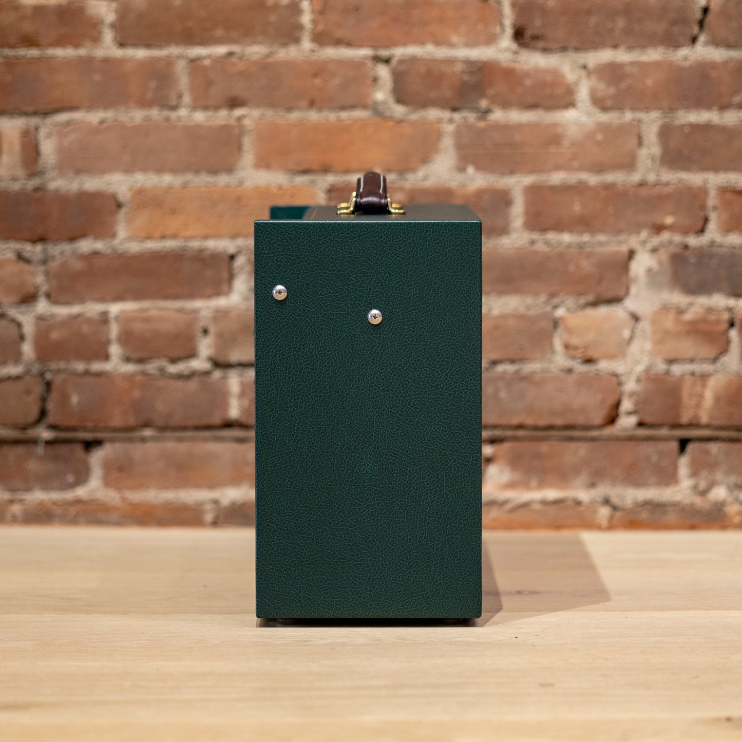Magnatone Starlite Reverb 10 8W 1x10 Combo - Green