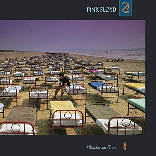 PINK FLOYD / MOMENTARY LAPSE OF REASON