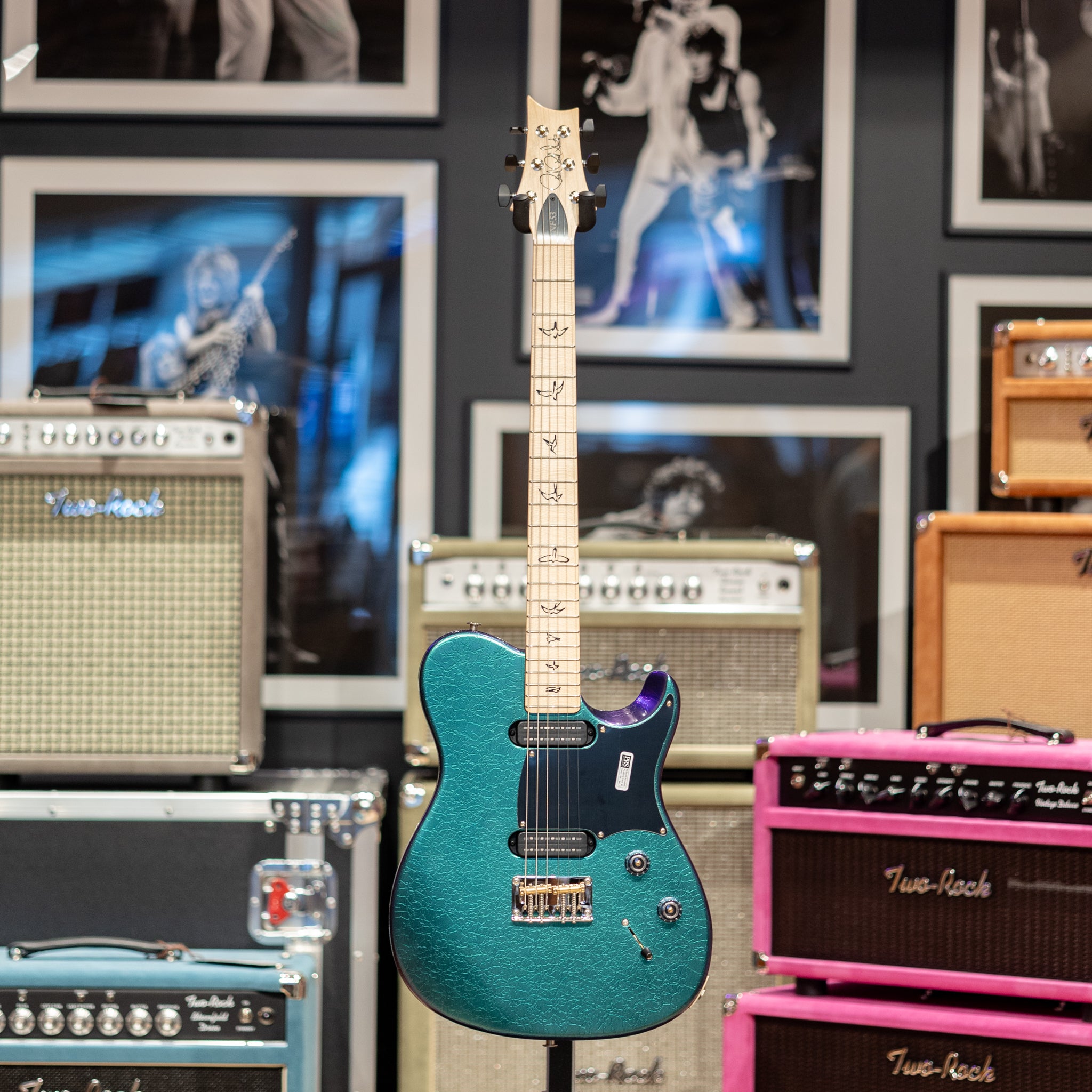 PRS NF 53 - 