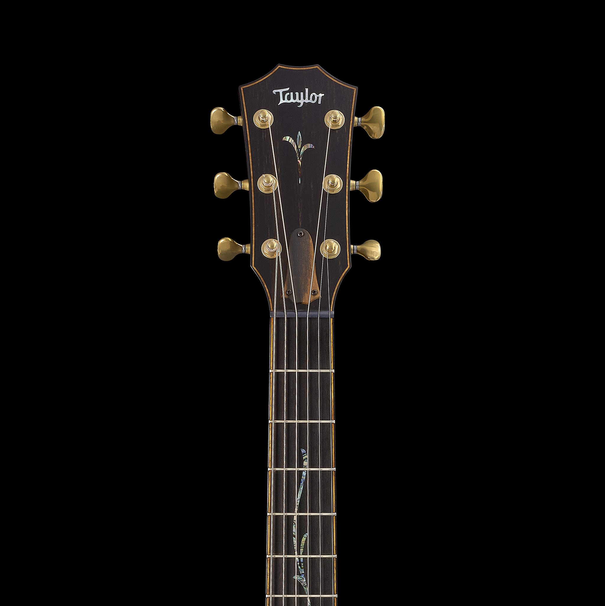 Taylor 2025 Builder's Edition K24ce - Hawaiian Koa – Round Hill Taylor 2025 Builder's Edition K24ce - Hawaiian Koa – Round Hill