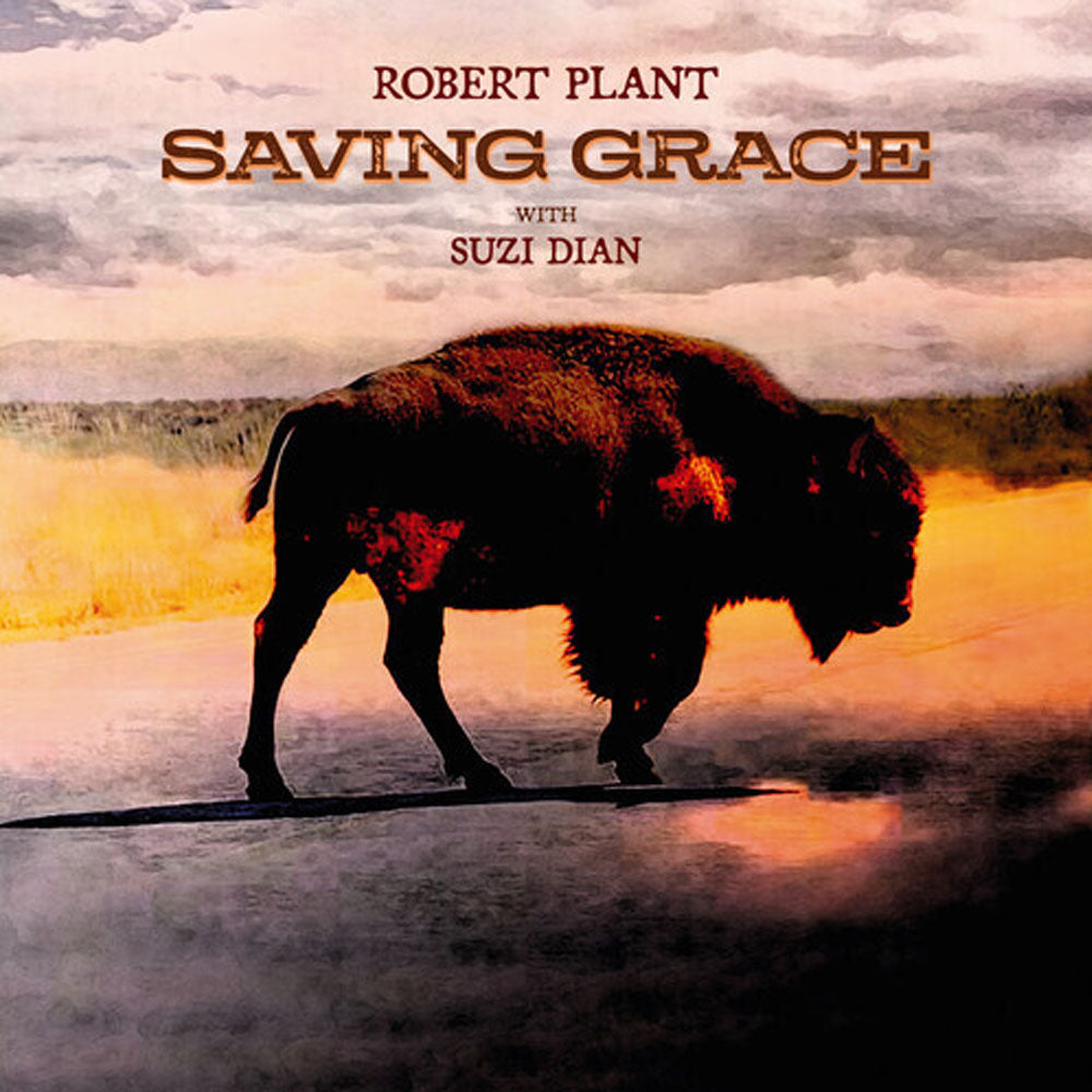 ROBERT PLANT / SAVING GRACE