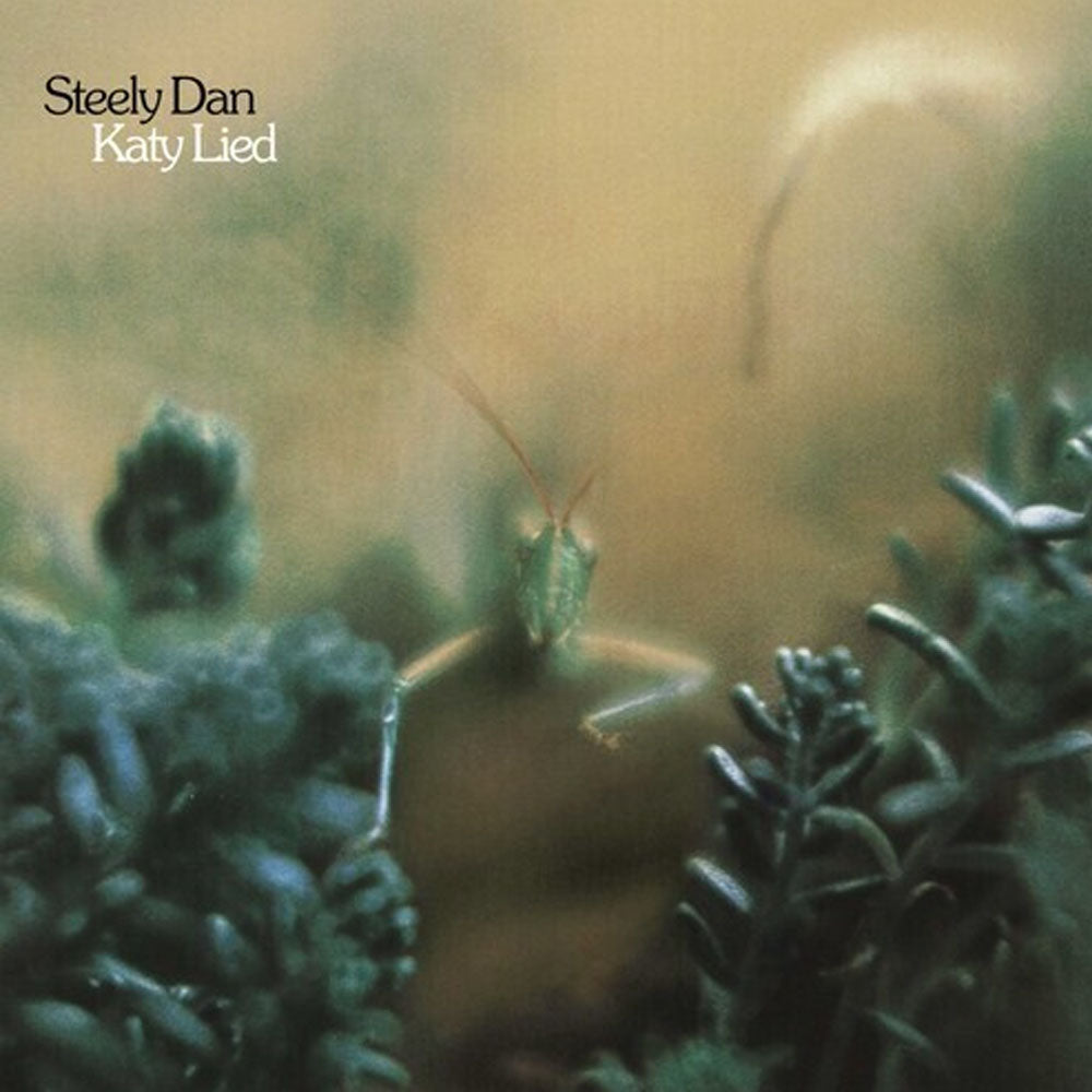 STEELY DAN / KATY LIED