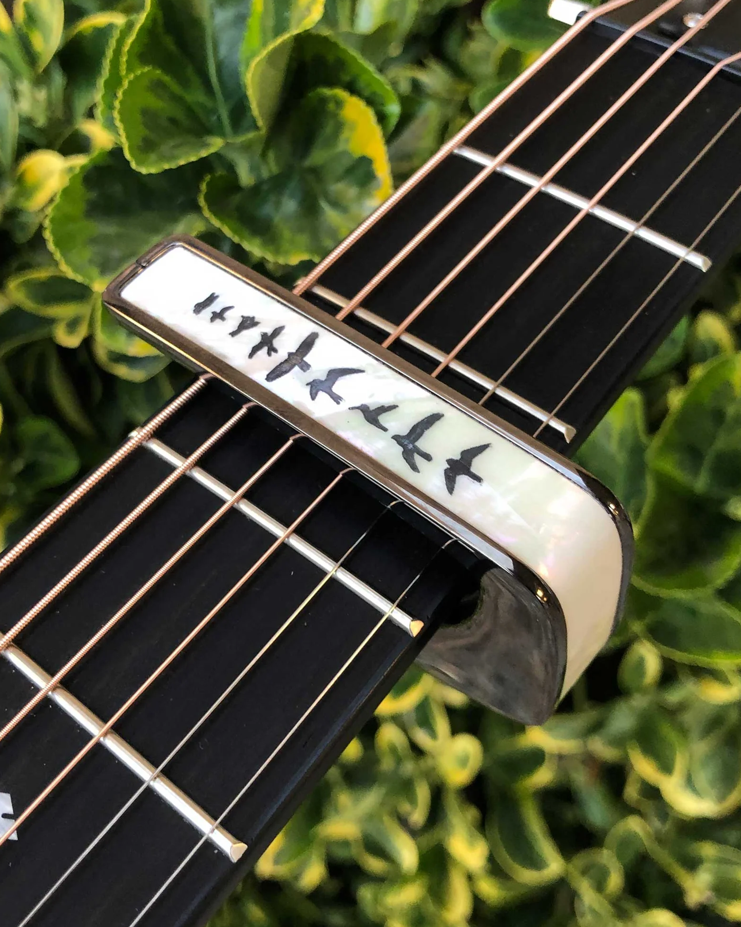 Thalia Birds on Pearl Guitar Capo