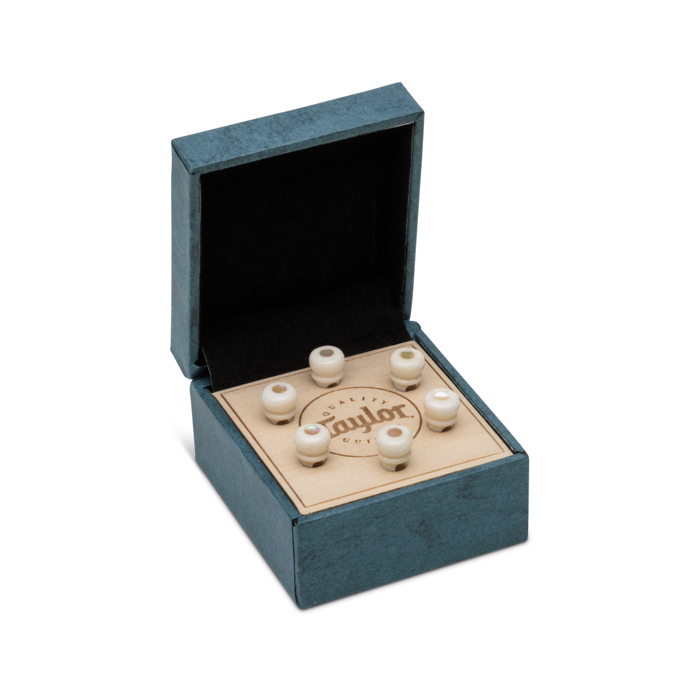 Taylor Custom Water Buffalo Bone Bridge Pins