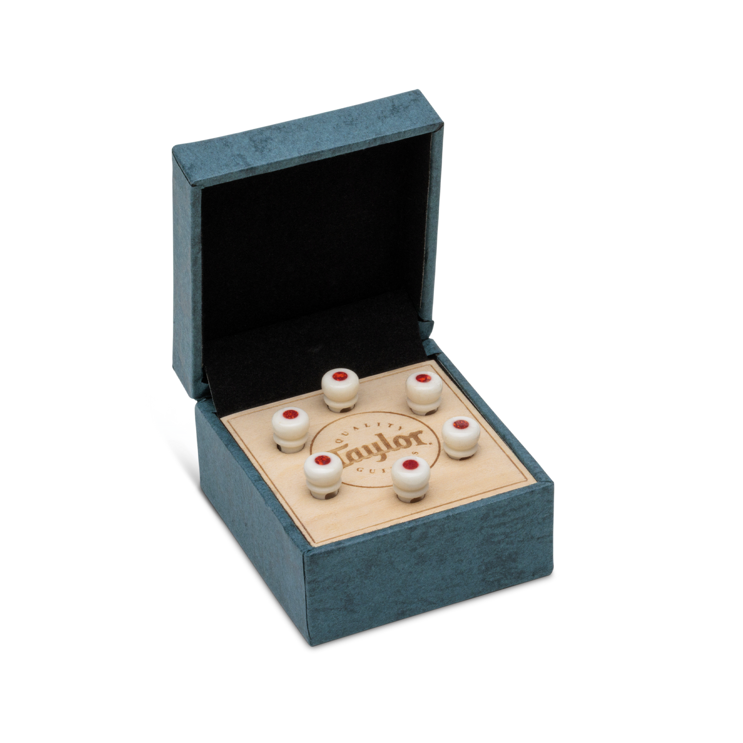 Taylor Custom Water Buffalo Bone Bridge Pins