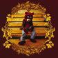KANYE WEST / COLLEGE DROPOUT